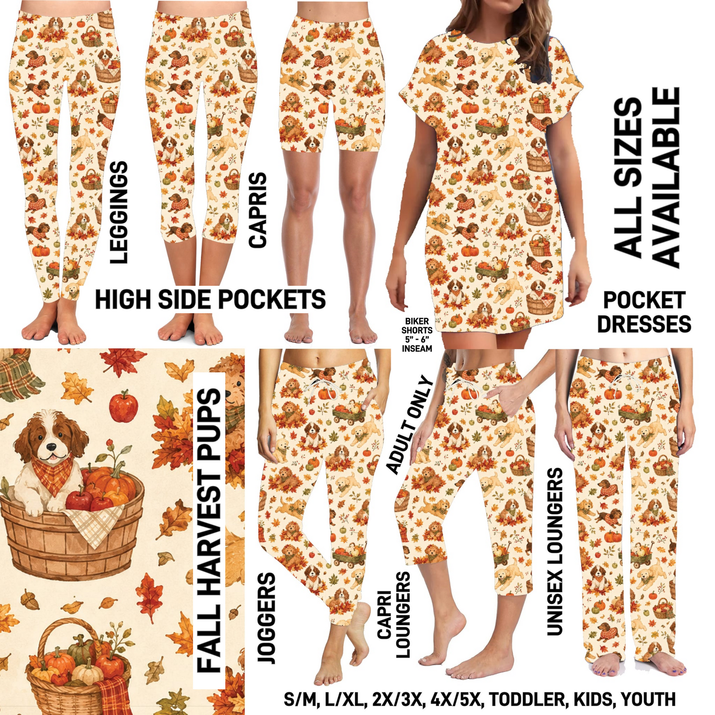 AU1M - Fall Harvest Pups - Preorder Closing 9/2 ETA: Late Oct