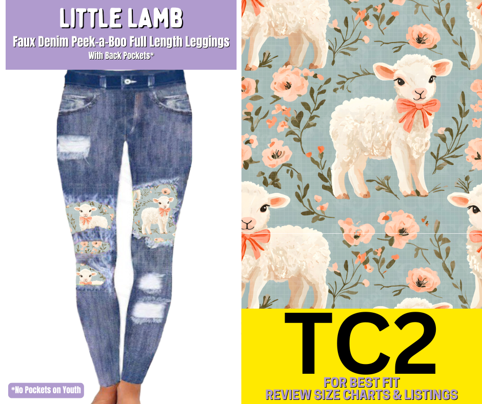 Little Lamb Faux Denim Full Length Peekaboo Leggings